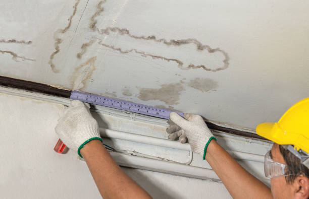 Reliable Water Damage contractor in Burke, SD by Water Damage Irwin